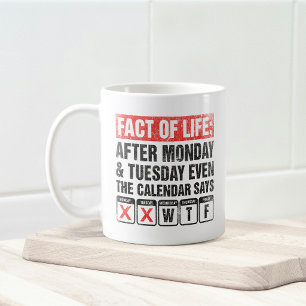 Caneca De Café Calendário Facto da Vida Diz Humor WTF