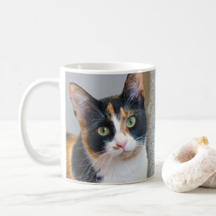 Caneca De Café Calico Cat