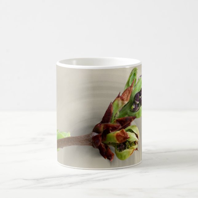 Caneca De Café calor de primavera (Centro)