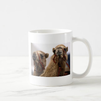 Caneca De Café Camelos