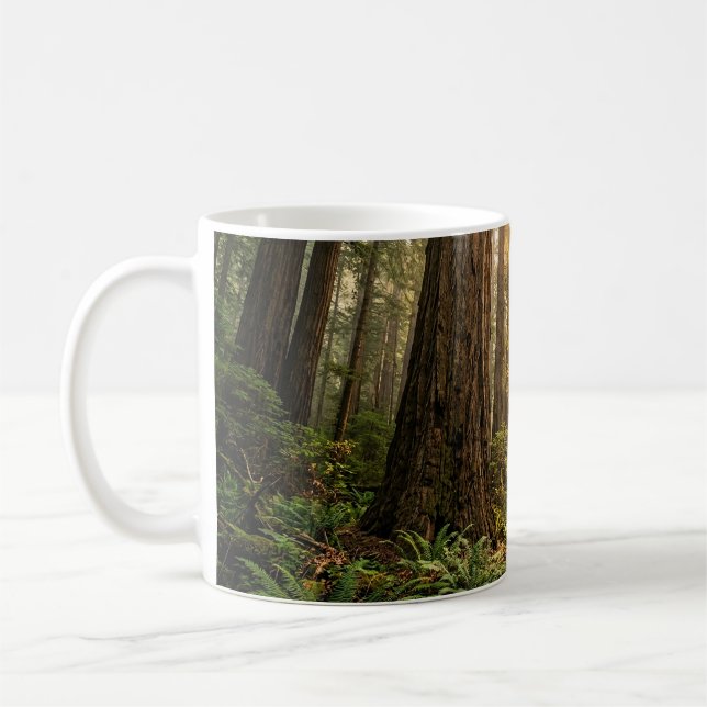Caneca De Café Caminhada na Floresta (Esquerda)