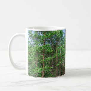 Caneca De Café Caminho de madeira na floresta de pinheiros