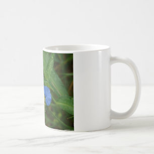 Caneca De Café Camiseta Flor do Dia Asiática Azul Roupas & Presen