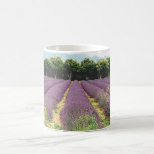 Caneca De Café Campo da lavanda - Drome Provencal, France