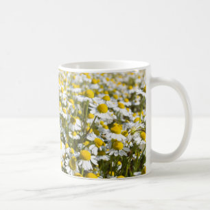 Caneca De Café Campo de Camomila, Hungria