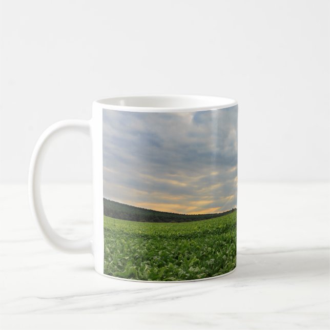 Caneca De Café Campo do sugarbeet no por do sol (Esquerda)