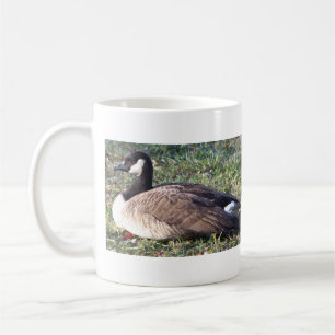 Caneca De Café Canadiano Foto Mug