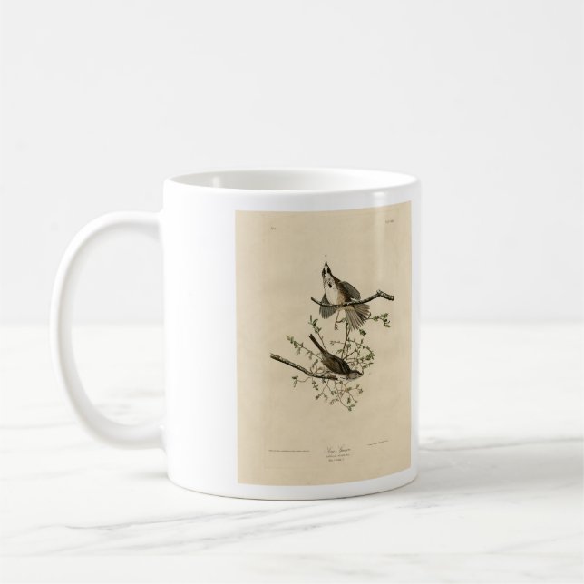 Caneca De Café Canção Sparrow do Pássaro da América de Audubon (Esquerda)