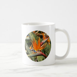 Caneca De Café Caneca, pássaro de paraíso