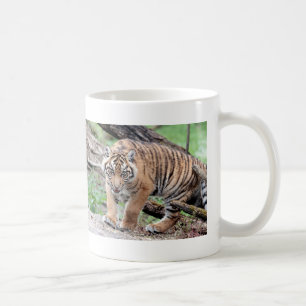 Caneca De Café Caneca. tigre fotográfico, gato. 