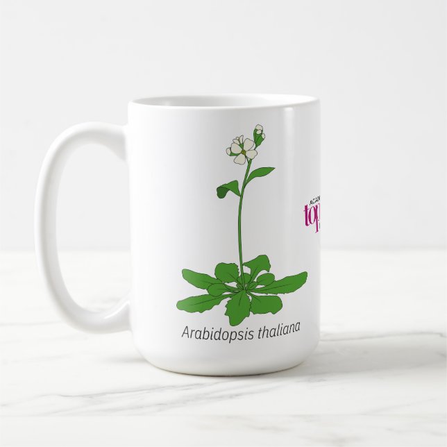 Caneca De Café Caneta de Arabidopsis (Esquerda)