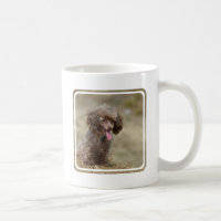 Caniche de brinquedo de Brown