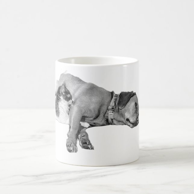 Caneca De Café Canina de Cães e Gatos (Centro)