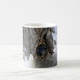 Caneca De Café Cannonball Tree, Cidade Velha do Quebec, Quebec, C