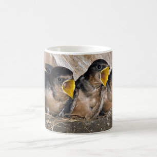 Caneca De Café Cantando Pintinhos de Swallow - Lâmpadas