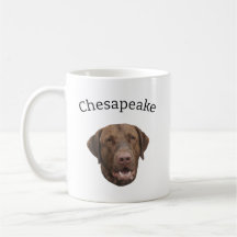 Cão de Retriever da Baía de Chesapeake