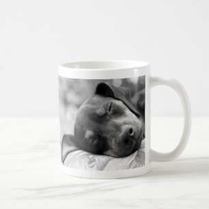 Caneca De Café Cão do Pinscher diminuto do sono