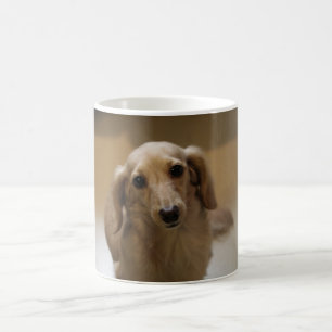 Caneca De Café Cãozinho bonito