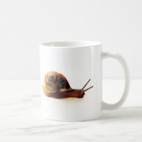 Caracol