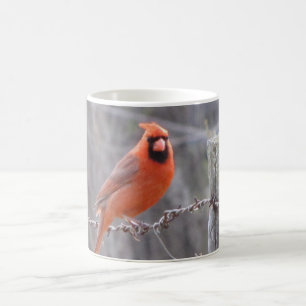 Caneca De Café Cardeal no arame farpado