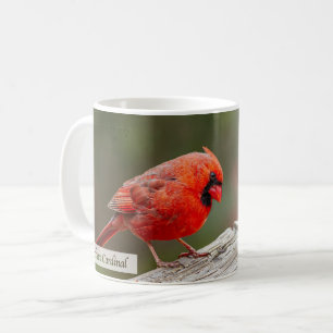 Caneca De Café Cardinal do Norte Salmo 145:14 KJV