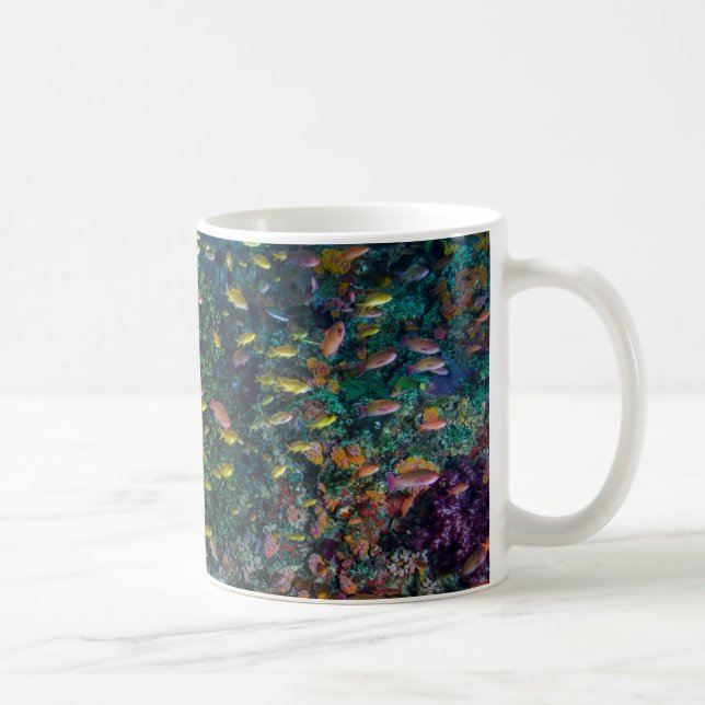 Caneca De Café Cardumes nadam no recife (Direita)