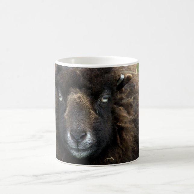 Caneca De Café Carneiros (Centro)