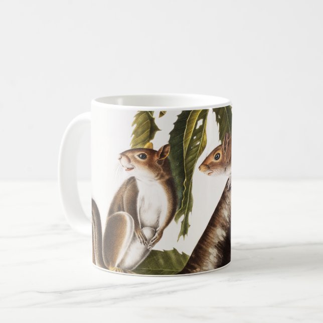 Caneca De Café Carolina Cinza Squirrel (Sciurus Carolinensis) (Frente Esquerda)