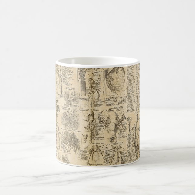 Caneca De Café Carta anatômica de Cyclopaedia 1728 (Centro)