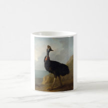 Cassowary (Ave Australiana) (Arte Animal Selvagem)