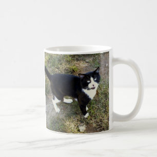 Caneca De Café Cat 10, Mug