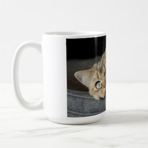Caneca De Café Cat, Kitten, short britânico