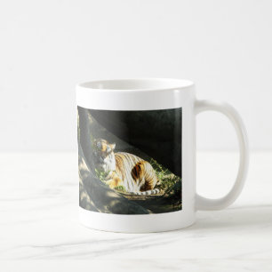 Caneca De Café Catnap do tigre