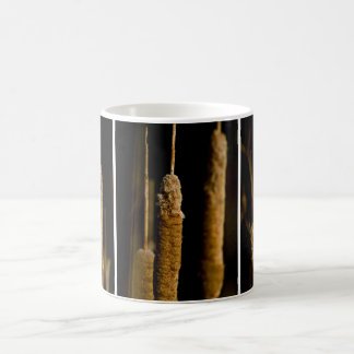 Caneca De Café Cattails