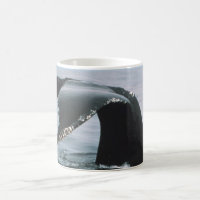 Cauda da baleia de Humpback