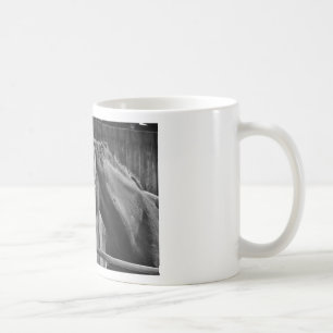 Caneca De Café Cavalo Branco Negro - Fotografia Animal