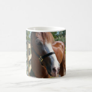 Caneca De Café Cavalo curioso