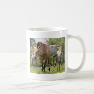 Caneca De Café Cavalo de Przewalski e potro andando