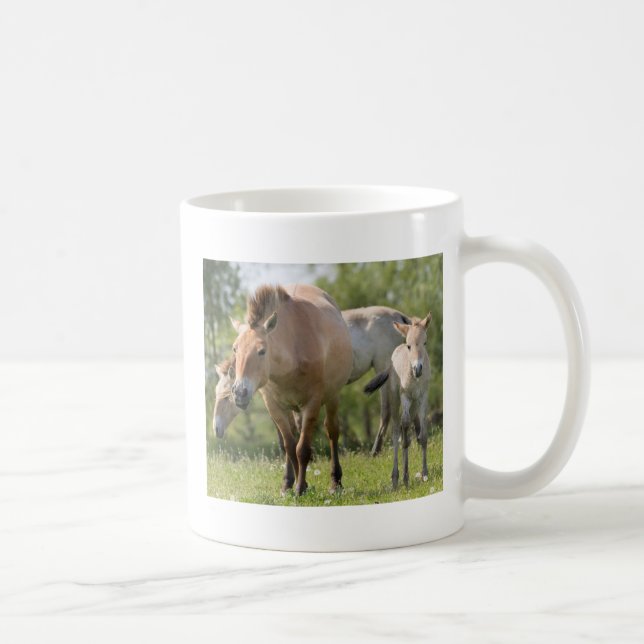 Caneca De Café Cavalo de Przewalski e potro andando (Direita)
