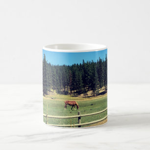 Caneca De Café Cavalo em Pasture