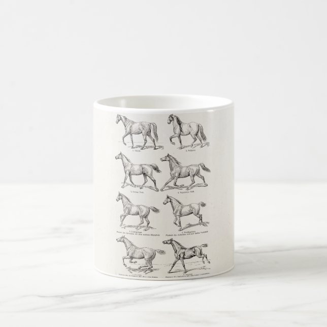 Caneca De Café Cavalos da ilustração dos portes do cavalo dos (Centro)