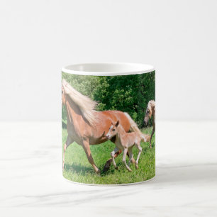 Caneca De Café Cavalos de Haflinger com Pés Bonitos Rodam Foto E