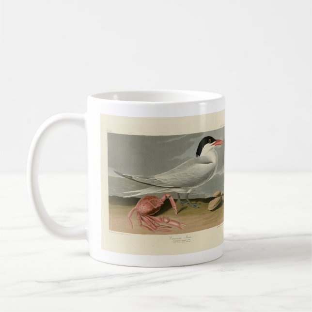 Caneca De Café Cayenne (Royal) Tern - Aves da América de Audubon (Esquerda)
