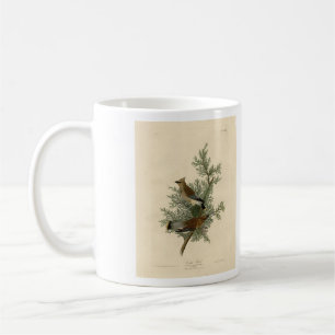 Caneca De Café Cedar Bird, Cedar Waxwing Audubon Birds da América