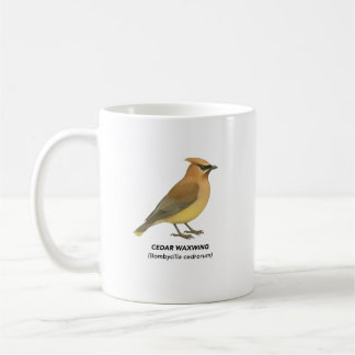 Caneca De Café Cedar Waxwing - Birds of California