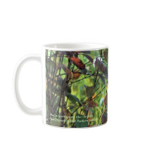 Cervos nos jardins após o Frost