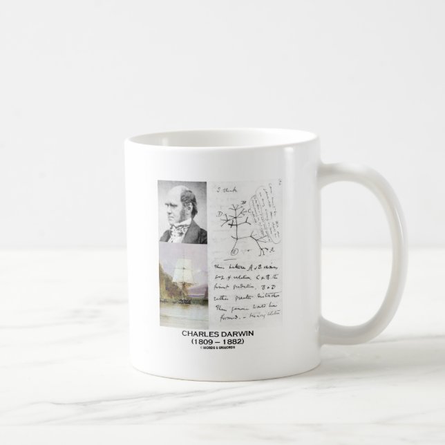 Caneca De Café Charles Darwin (lebreiro Phylogenetics de Darwin (Direita)