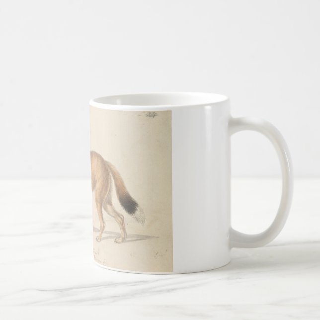Caneca De Café Charles Hamilton Smith - Wolf das Ilhas Malvinas (Direita)