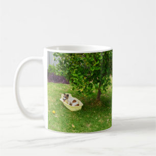 Caneca De Café Charlie, A Fox Terrier Bath Time, Café Mug