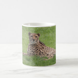 Caneca De Café Cheetah Mug